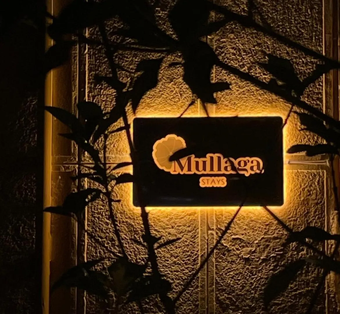 Mullaga Stays 티라나 알바니아